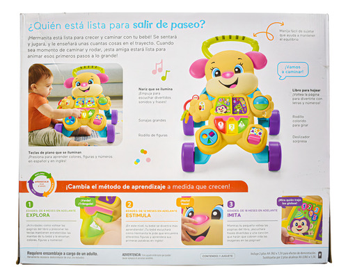 Perrita Hermanita Andadera De Aprendizaje Fisher Price Cd Color Beige