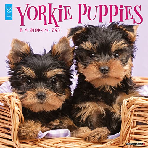 Calendario De Pared 2023 De Just Yorkie Puppies