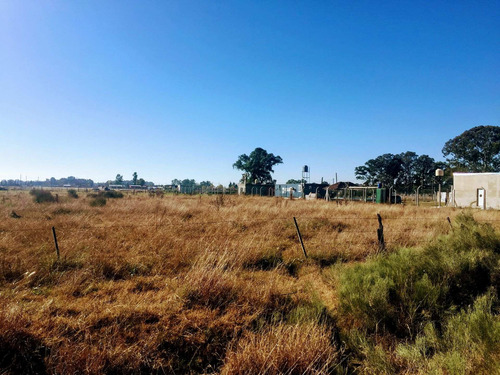 Imagen 9 de 12 de Venta De Lote De Terreno En Brandsen