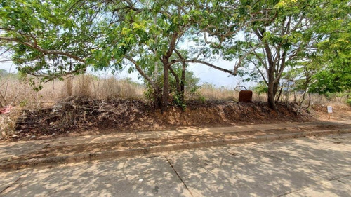 Imagen 9 de 14 de En Venta Terreno En Valencia Guataparo Country Club De 900m2