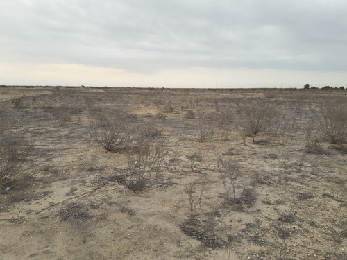 Imagen 5 de 14 de Terreno Para Uso Agricola
