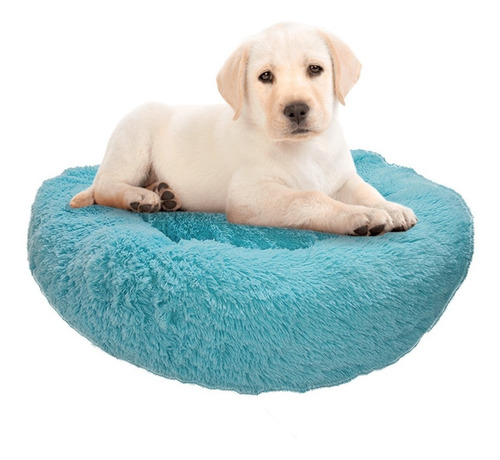 Cama Antiestrés Para Perro Chico 60cm Relajante Y Suave Color Verde Aqua