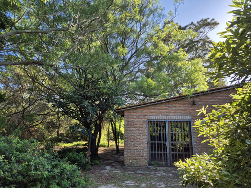 Venta De Terreno Con Monoambiente 233lt