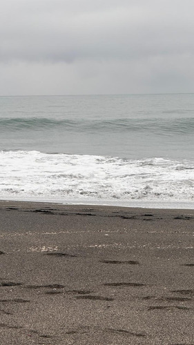 Vende Lote De 10.000 M² En Playa De Pelluhue