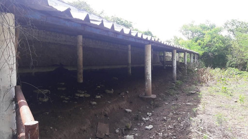 Rancho En Venta En Veracruz Carretera Paso De Ovejas