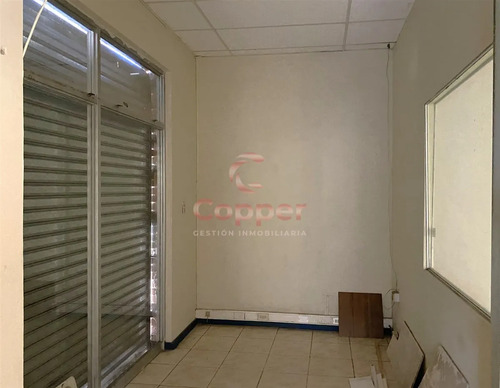 Propiedad En Arriendo, Sector Centro, Copiapó