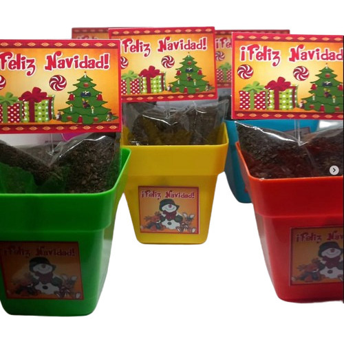 Souvenir Educativo Kit Siembra , Oferta! X 50 Unidades.n 6