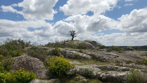 Vendo Campo