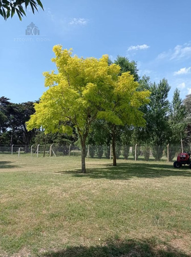 Imagen 23 de 30 de Terreno - Mar Del Plata - Pileta - Mar - Country - Barrio Privado - Golf - Costa Atlántica