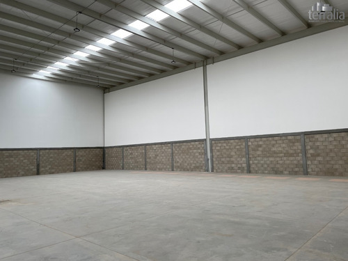 Bodega En Renta En Parque Ind. En Santa Rosa De Jaureg