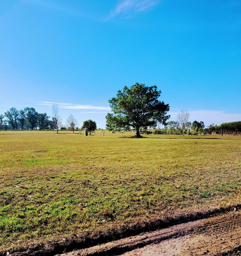 Imagen 3 de 5 de Terreno - Gualeguaychu