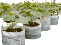 Comprar Macetas Nylon Blancas Vivero Jardín Agro - 20 Litros (x100)