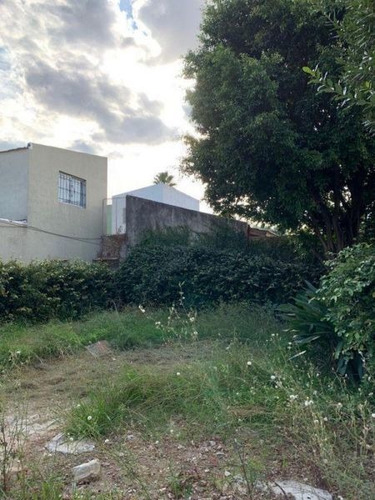 Imagen 12 de 15 de Departamento En Venta En Villa Luzuriaga