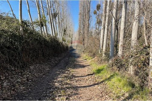 Venta De Terreno Agrícola Coltauco » Vi Región.
