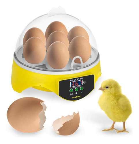 Incubadora De Huevos Digital 7 Huevos Control De Temperatura