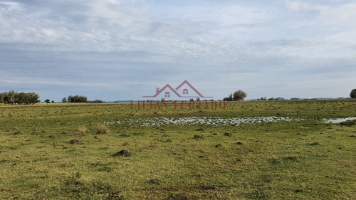 Exclusividad...inversión Asegurada En Las Garzas Uds 12.800 X 25 Has.- Ref: 593