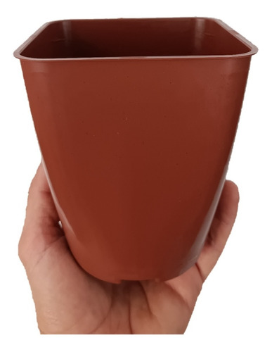 100 Vasos Quadrado Pote 14 Plantas Cactos Suculentas Marrom