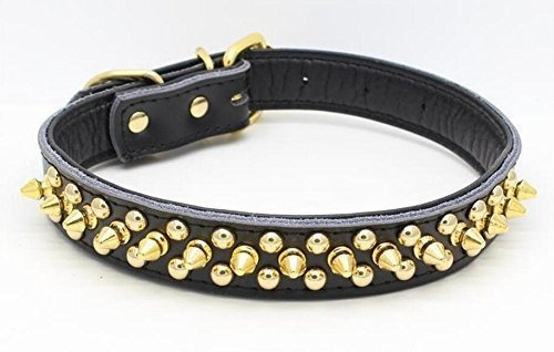 Benala Suave Genium Cuero Oro Spiked Studded Pet 8x8kw