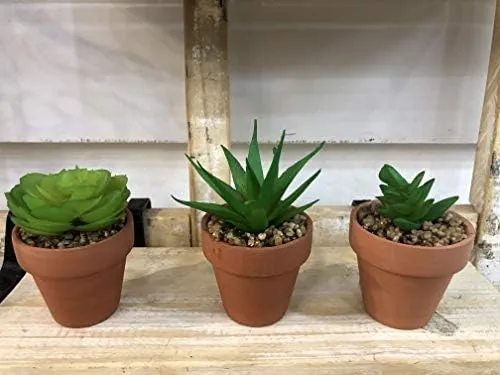 Tabla De Cocina Maniacs Mini Plantas Suculentas Artificiales