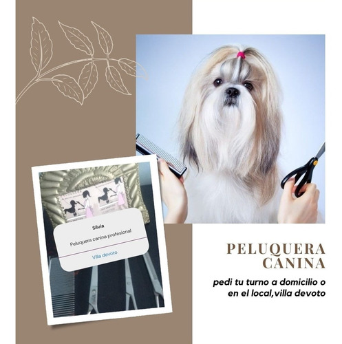 Imagen 4 de 8 de Peluquera Canina A Domicilio También Espacio Propio.caba