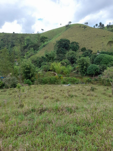 Imagem 10 de 20 de B46- Opa Chácara Boa A Venda 1000m² Venha Conhecer!!