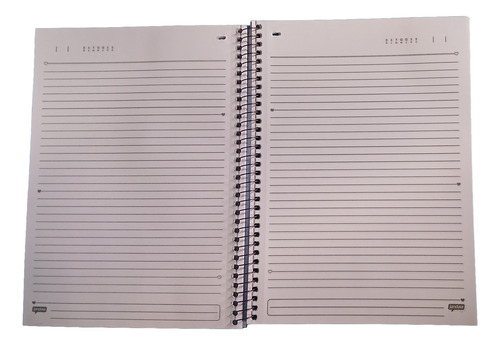 Material Escolar Básico Feminino Caderno Frozen + 32 Peças