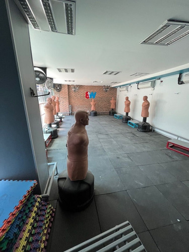 Local Comercial En Palmas Para Gym