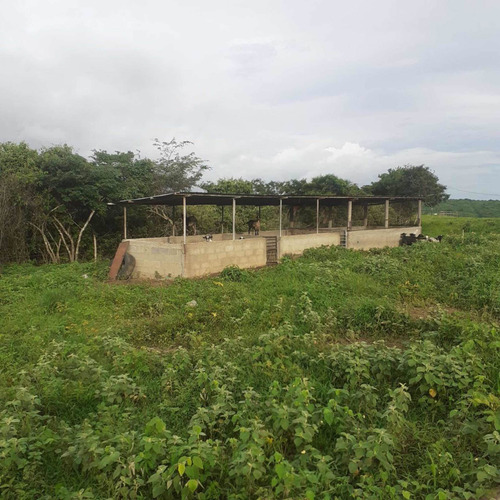 Imagen 26 de 26 de Finca En Venta Vía Cordero El Cuji Ksanchez