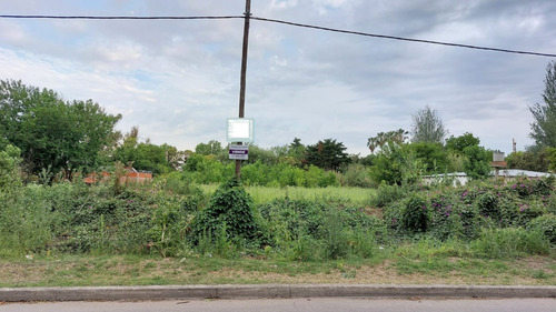 Ruta 11 Y 600 ( 41 ) - Alquiler O Venta - 3079 M2