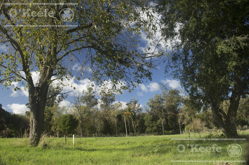 Imagen 6 de 20 de Barrio Abierto - Las Moras De Hudson