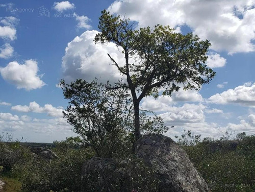 Imagen 3 de 15 de Campo Ganadero En San Jose De 126 Ha, Sierra De Mahoma, Ganadero