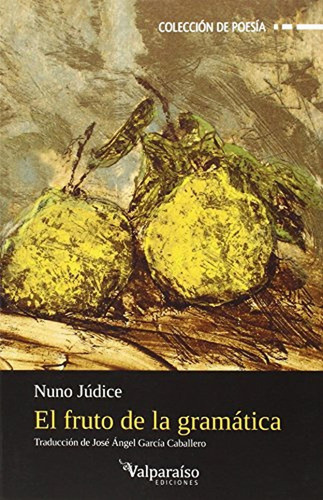 El Fruto De La Gramatica, De Júdice, Nuno. Editorial Valparaiso, Tapa Blanda, Edición 1 En Español, 2015