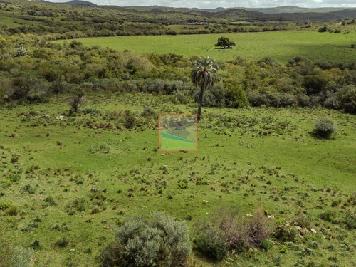 Imagen 14 de 28 de Campo 180 Hás En Altos De Carapé