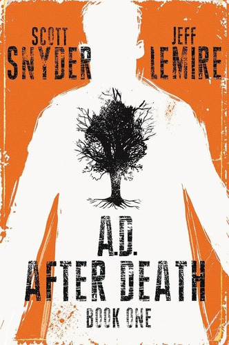 A.d. After Death Scott Snyder Jeff Lemire (inglés)