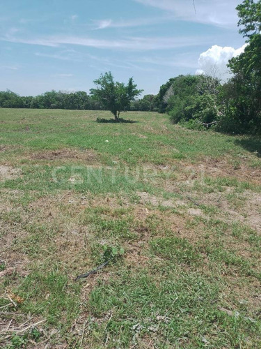 Venta De Terreno En Ex-hacienda El Jobo En Tampico Alto