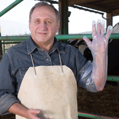 100 Peças De Luvas De Limpeza Para Caça: Molho De Campo Desc