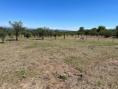 Venta Campo Villa Quillinzo (40 Hectareas) Ideal Para Loteo
