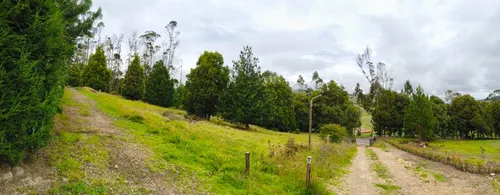 Proyecto Campestre