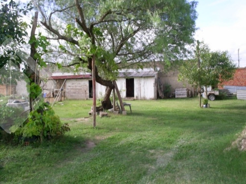 Imagem 11 de 15 de Chacara/fazenda/sitio - Restinga - Ref: 192994 - V-192994