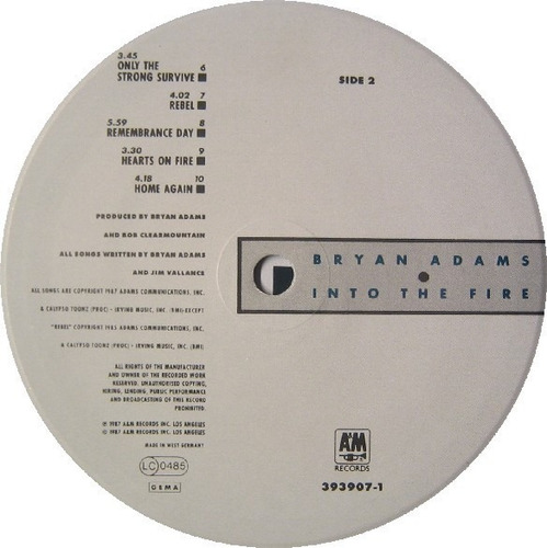 Vinilo Bryan Adams - Into The Fire (Usado)