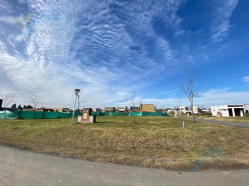Imagen 5 de 23 de Terreno - Countries/b.cerrado (manzanares)