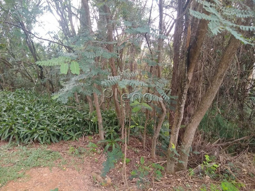 Imagem 10 de 15 de Terreno À Venda Em Joaquim Egídio - Te028079