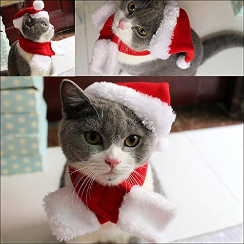 Mascota Leso Cat Sombrero De Navidad Con Muffler Puppy Dog S