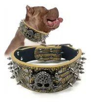 Comprar Collar Perro Grande Pitbull Dogo Rottweiler