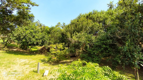 Imagem 9 de 15 de Terreno Para Venda Em Imbituba, Praia Do Rosa - 980_2-1154726