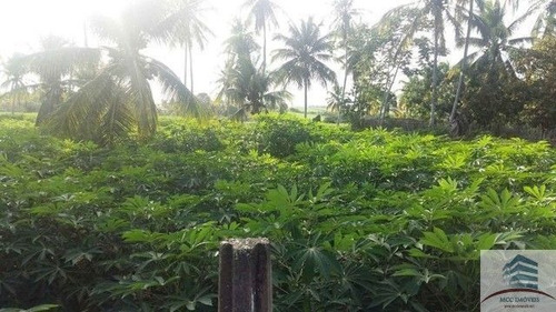 Granja A Venda São José De Pipibú