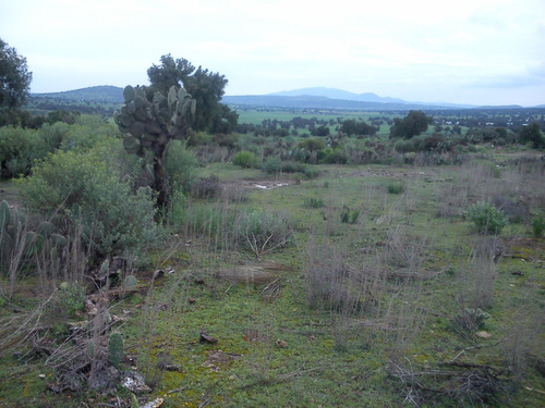 Terreno En Zempoala Hidalgo De 640 Metros Cuadrados.