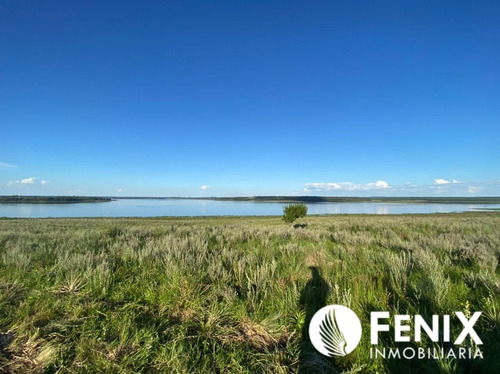 Imagen 4 de 7 de Tf427 Hectareas Con Vista Al Río Z/garupa