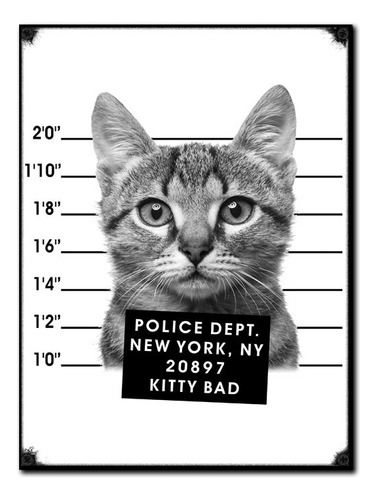 #1169 - Cuadro Decorativo Vintage - Gato Gatito Cat Poster