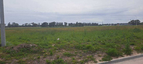 Venta De Excelente Lote En Tandil